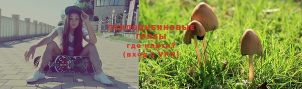 Альфа ПВП Зерноград