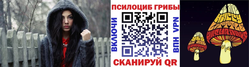 Купить закладки  Гусев  Галлюциногенные грибы GOLDEN TEACHER 